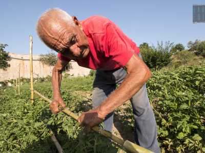 Da qui si apre una grande area coltivata. Incontriamo il primo contadino, ha 86 anni ed � piccolo e ossuto, con il volto solcato da rughe